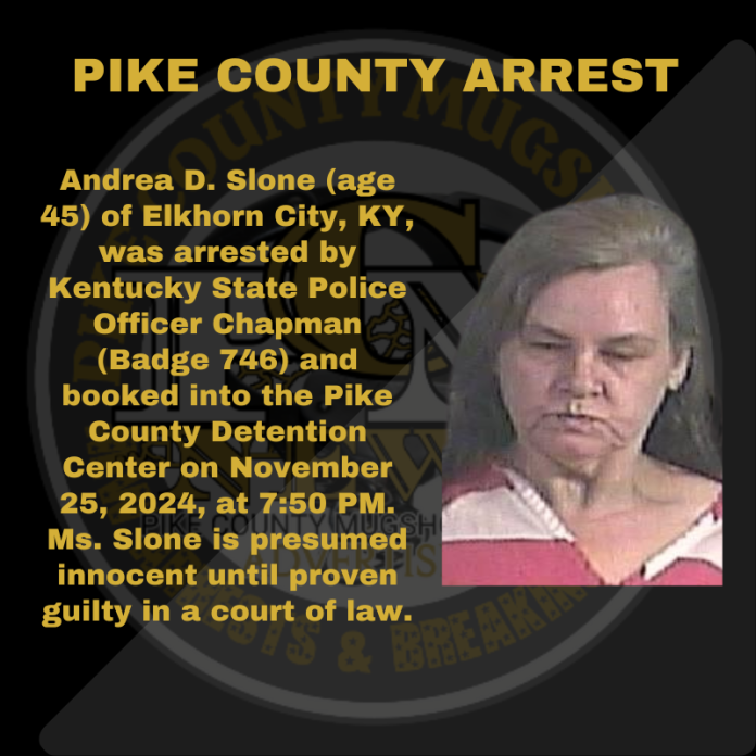 ANDREA SLONE_20241125_202132_0000