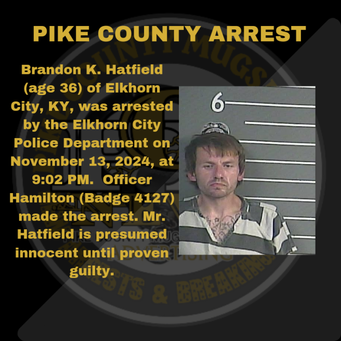 BRANDON HATFIELD_20241114_040352_0000