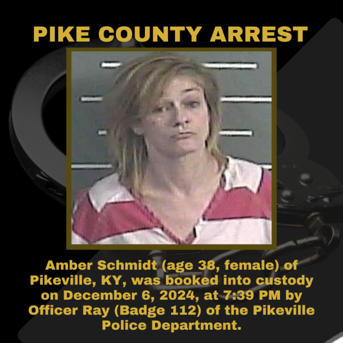 AMBER SCHMIDT_20241207_040927_0000
