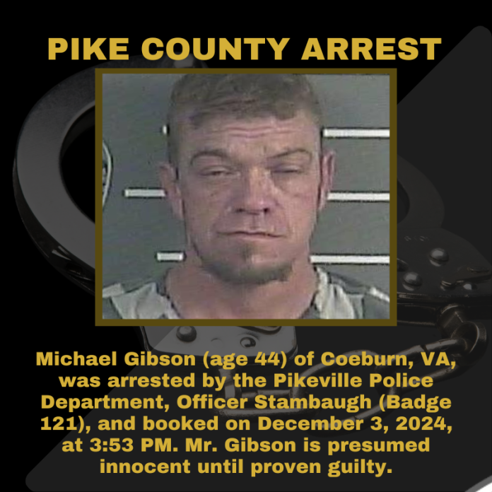 MICHAEL GIBSON_20241203_180337_0000