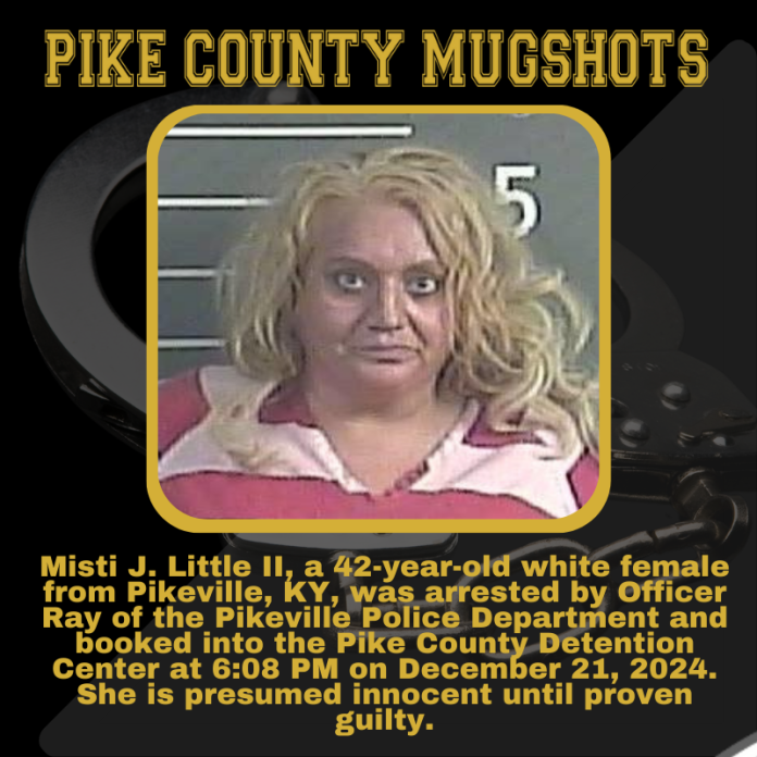 MISTI LITTLE_20241222_052125_0000