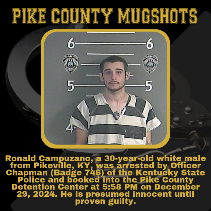RONALD CAMPUZANO_20241229_204845_0000