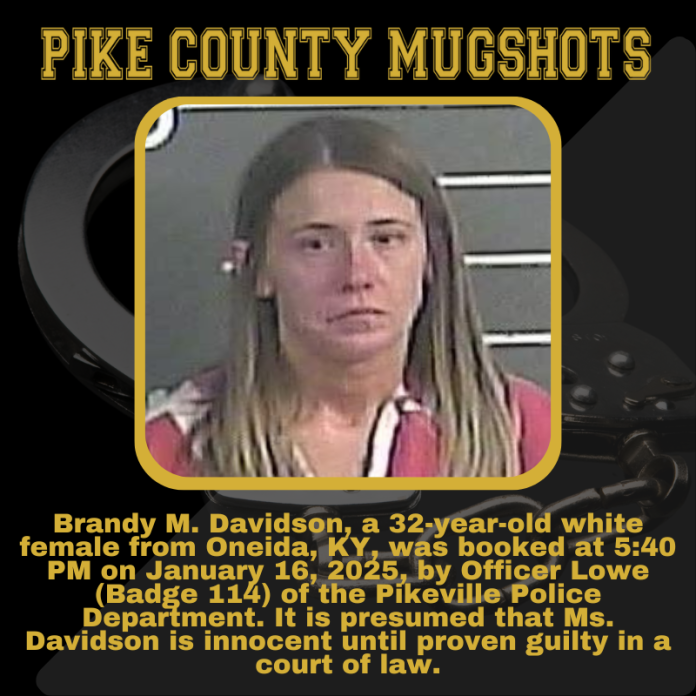 BRANDY DAVIDSON_20250116_175554_0000