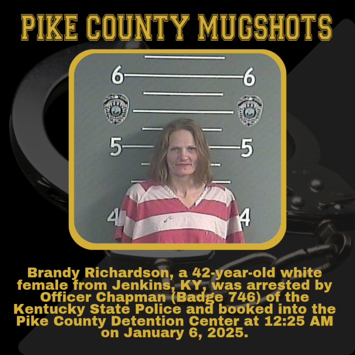 BRANDY RICHARDSON_20250106_025801_0000