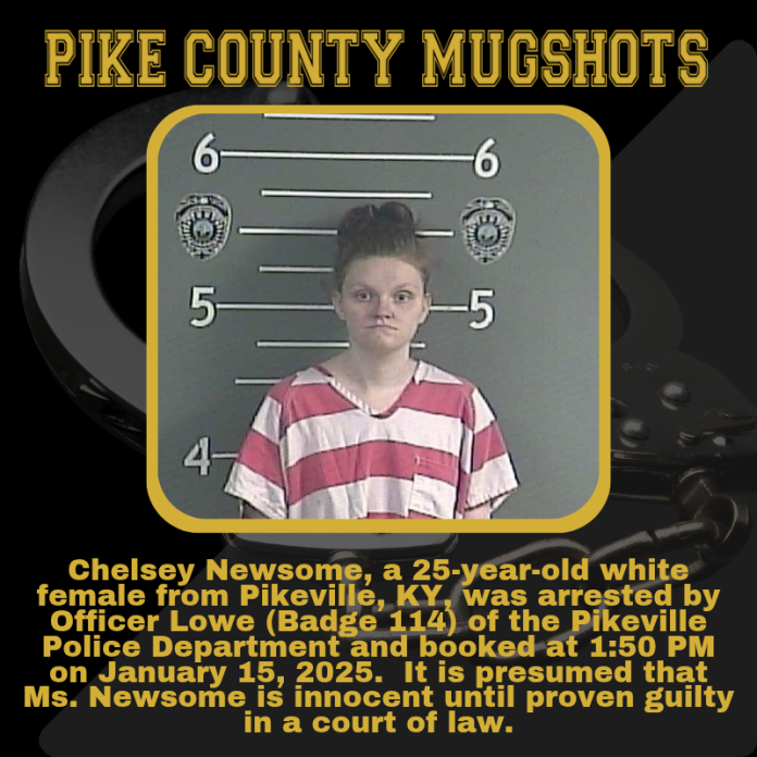 CHELSEY NEWSOME_20250115_181151_0000