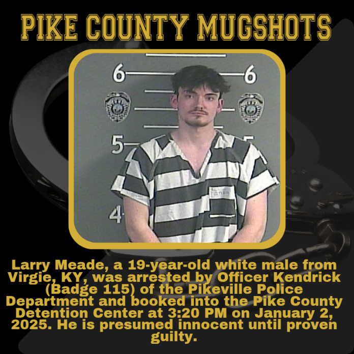 LARRY MEADE_20250102_160521_0000