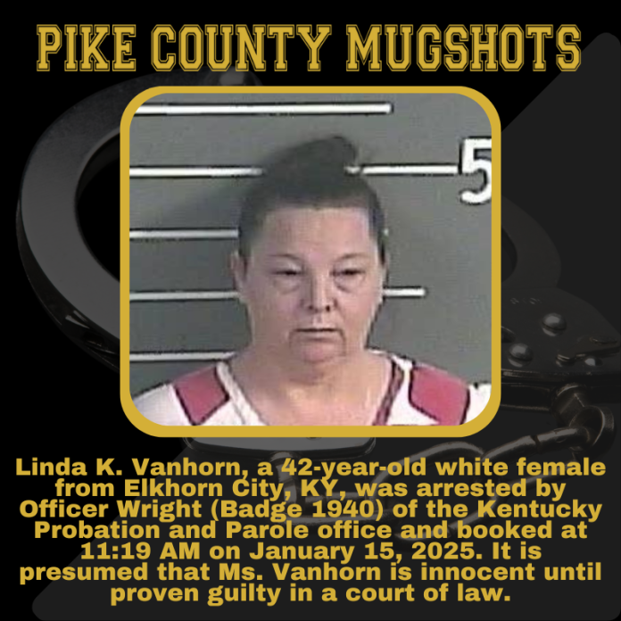 LINDA VANHORN_20250115_131914_0000