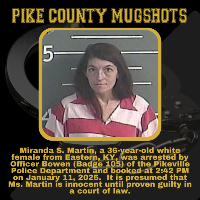 MIRANDA MARTIN_20250111_173310_0000