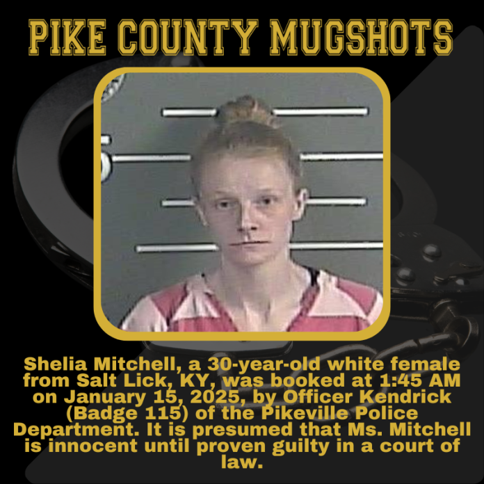 SHELIA MITCHELL_20250115_022815_0000