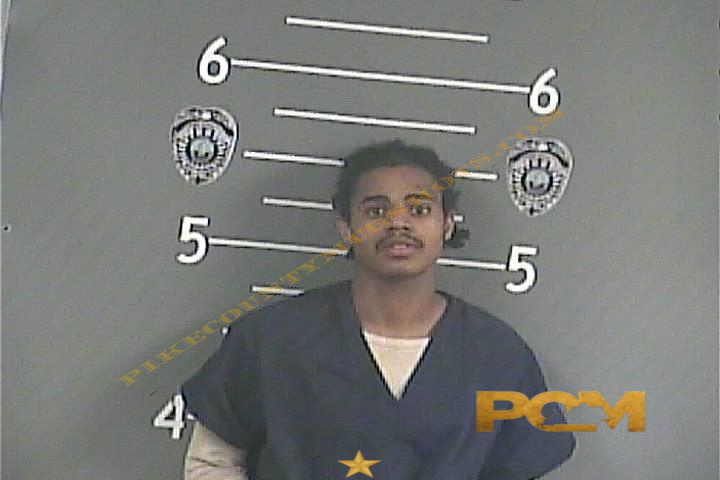 MIKHAL - HAMILTON booking photo
