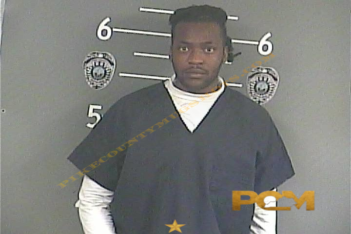 DEANDRE L WILLIAMS booking photo