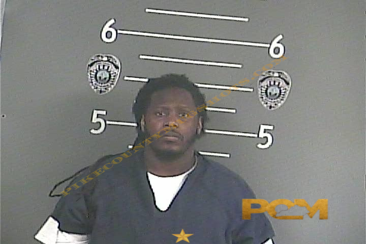 JACQUESE D WARREN booking photo