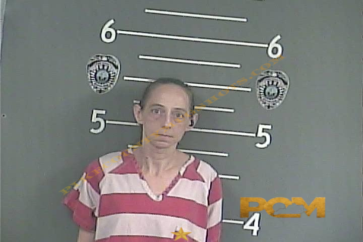 JESSICA RENEE JOHNSON booking photo