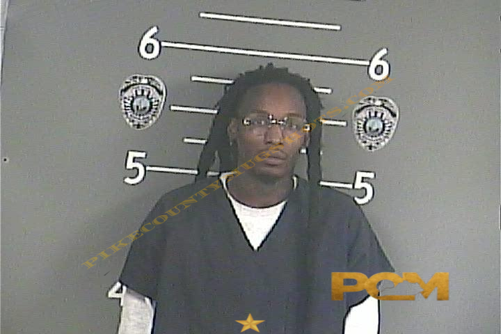 DOMINIQUE J CROWDER booking photo