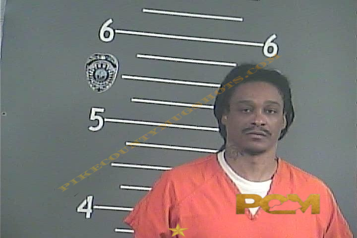 DALE M WILLIAMS booking photo