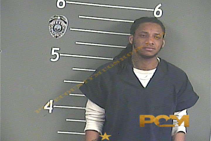 ROBERT BRANDON booking photo