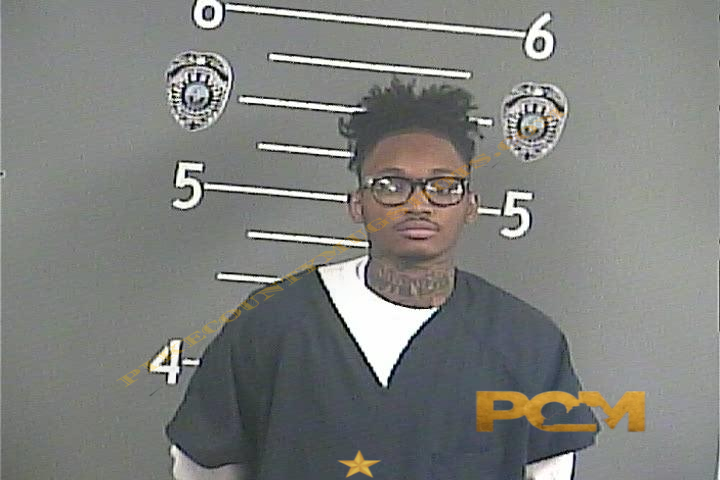 MEKHI . GREENE booking photo