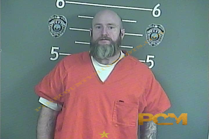 RYAN P WILSON booking photo