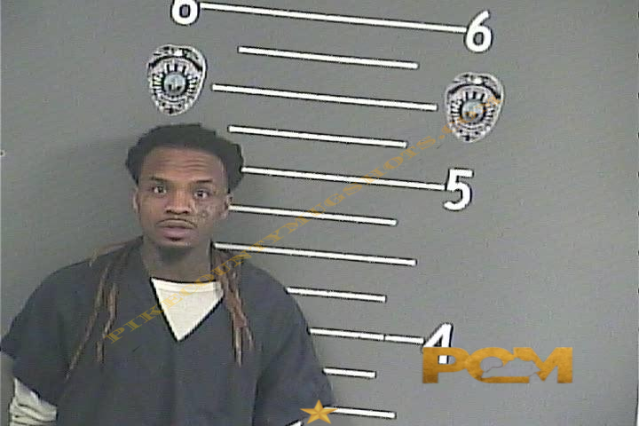 TWYLAIN STANLEY WILSON booking photo