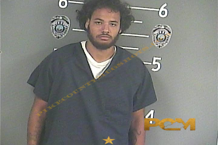 CAMERON LAMONT JACKSON booking photo