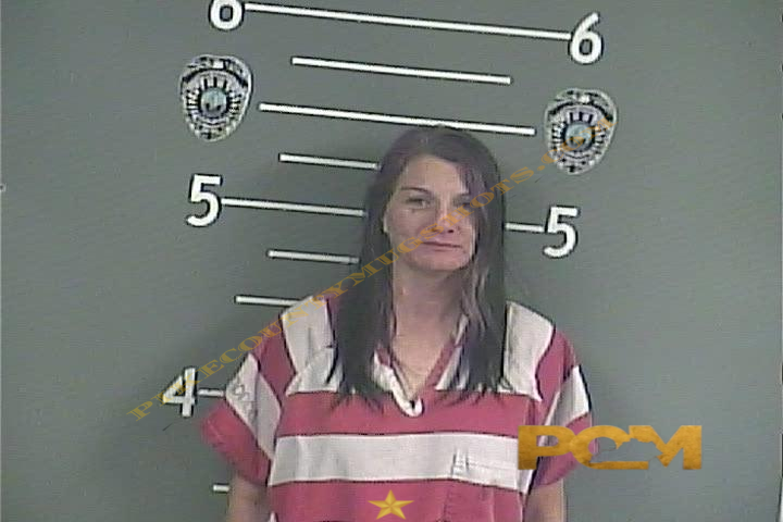 SHEENA R COLEMAN booking photo