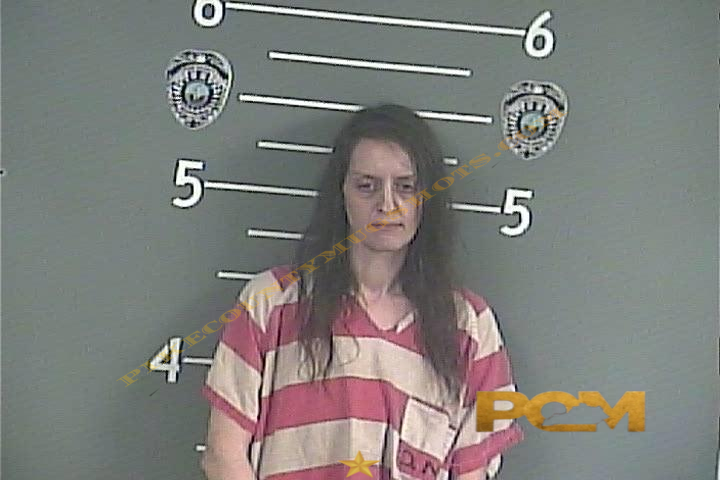 COURTNEY L YOUNG booking photo