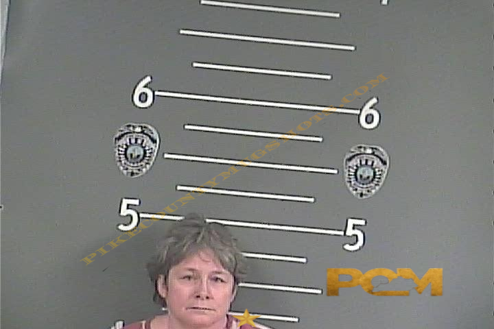 SHARON LYNN JONES booking photo