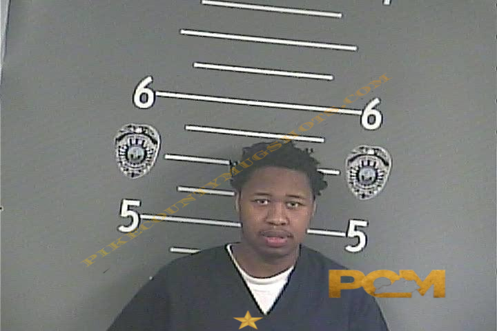 ERNEZ . AUSTIN booking photo