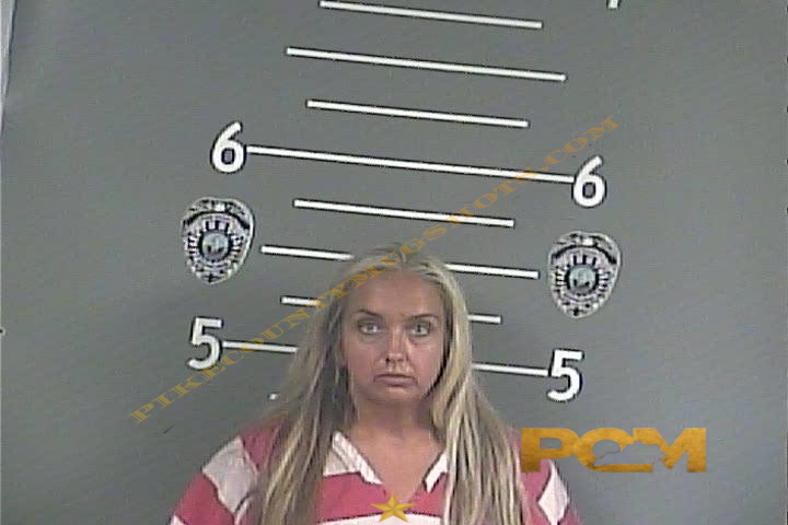 HOLLI MICHELLE BOYD booking photo
