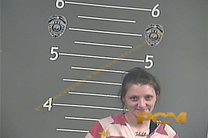 KRISTIN H CHANEY booking photo