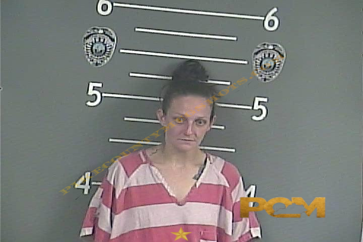 RACHEL A CANTRELL booking photo
