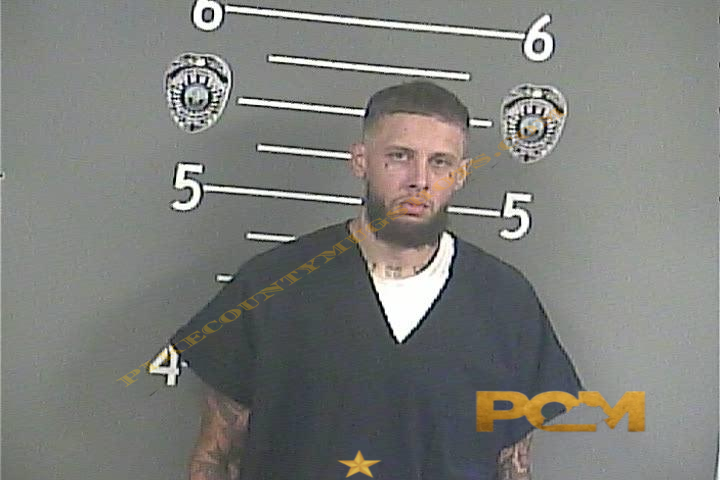 KENDALL C WHITE booking photo