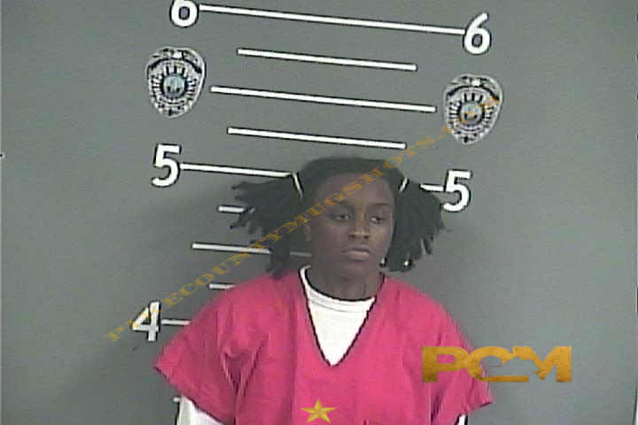DASANI M DAWSON booking photo