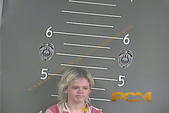 ALEXIS L SARGENT booking photo