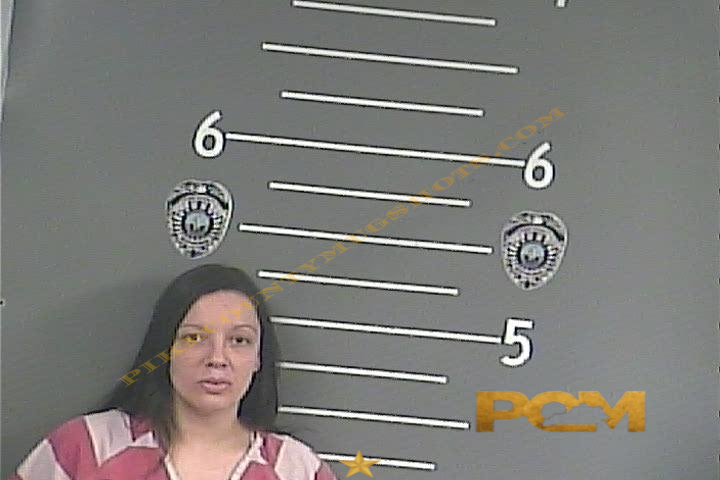 PAIGE L RUSSELL booking photo