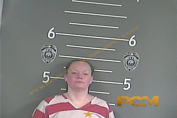 STEPHANIE H LINDSEY booking photo
