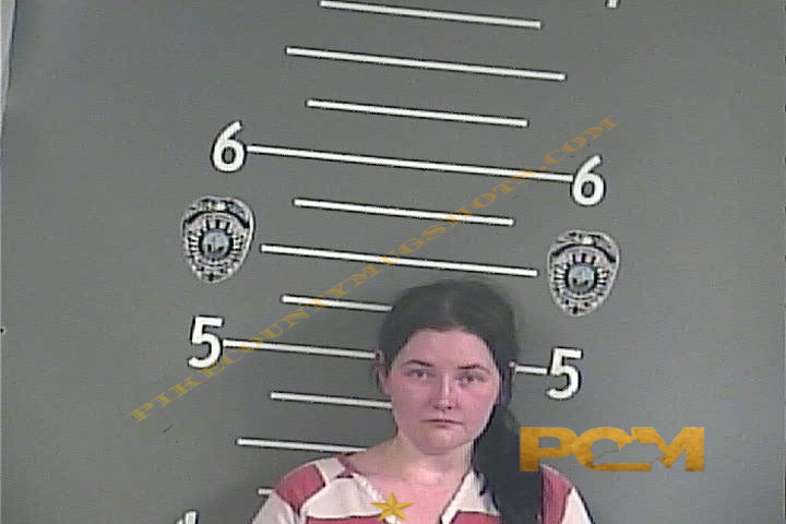 VERONICA L ROSS booking photo