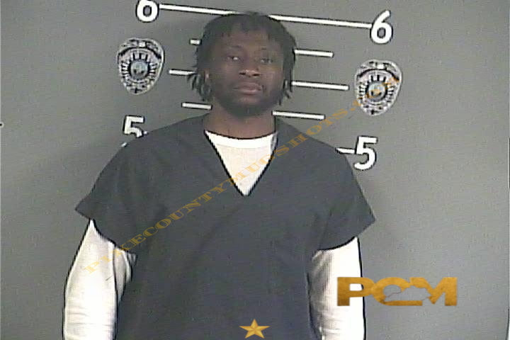 ISMALIA S CAMARA booking photo