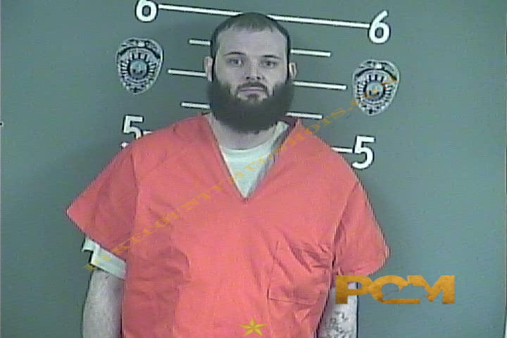 AUSTIN A GODWIN booking photo