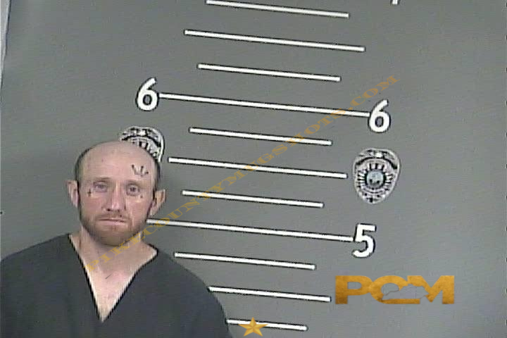 KELLY L CLINE booking photo
