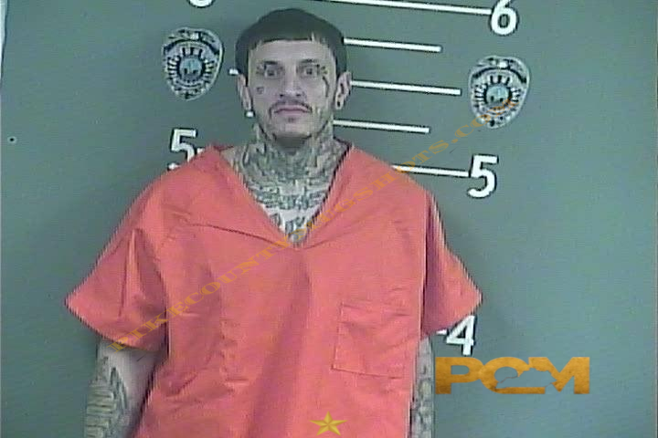 MICHAEL B MANGAN booking photo