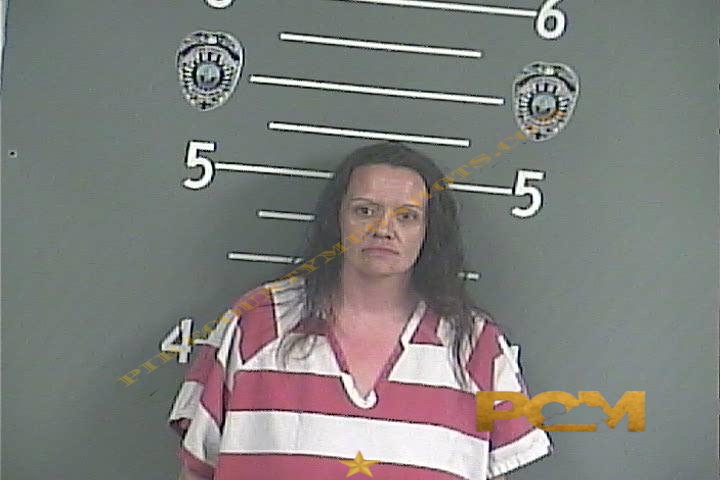 REBECCA DARNELL HALL booking photo