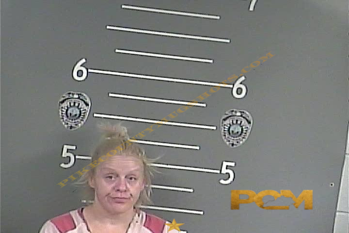 KRISTEN . SMITH booking photo