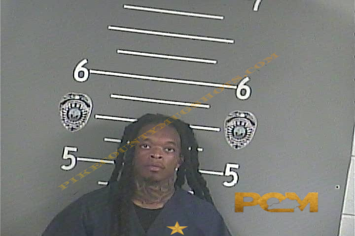 JOEL MATTHIAS HOLLOWAY booking photo