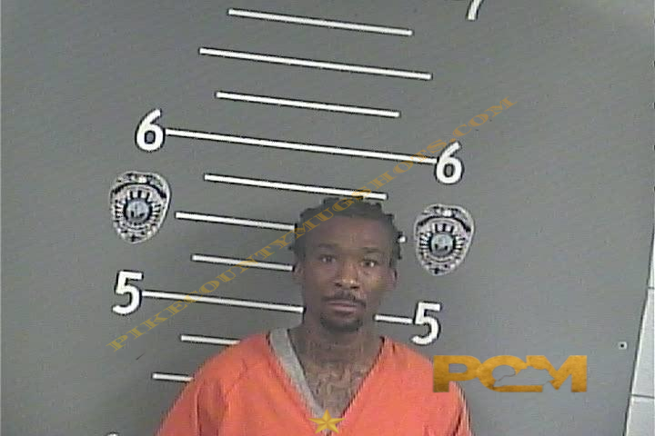 LIONEL B NEWMAN booking photo
