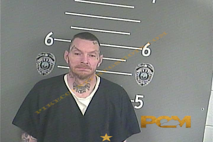 JOEY D BLEVINS booking photo