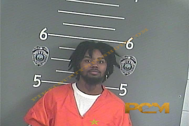 DARTANIAN A OWNES booking photo