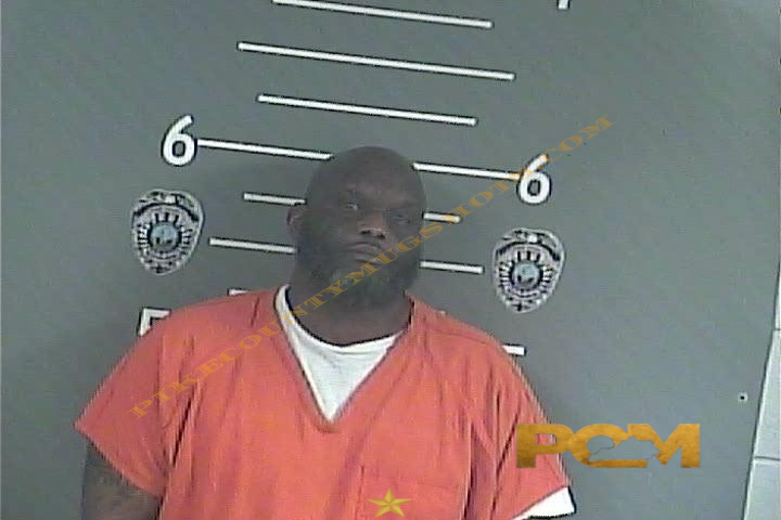 LASHAWN - JOHNSON booking photo