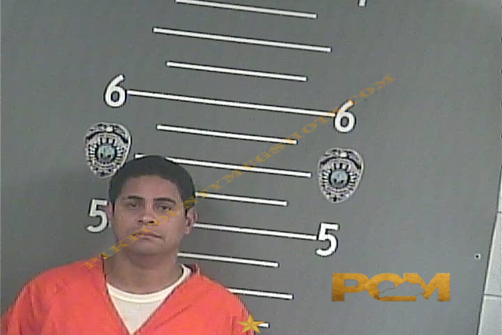 ALEXANDER - VELASQUEZ PEDROZA booking photo