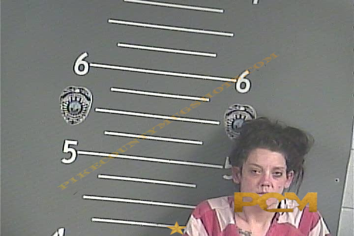 KEISHA L ROBINSON booking photo